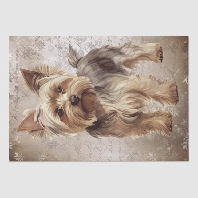 Yorkshire Terrier Dog Tissue Paper (Front)