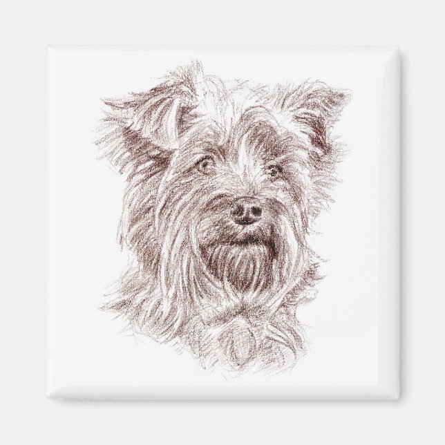 Yorkshire Terrier Drawing Magnet (Front)