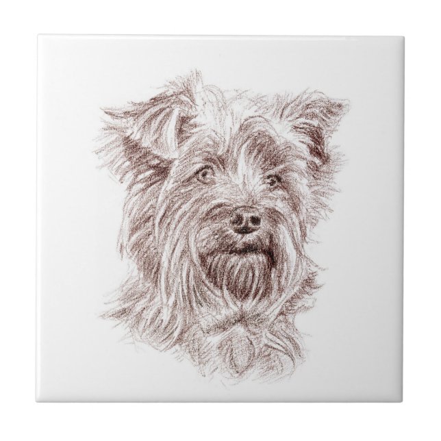 Yorkshire Terrier Drawing Tile (Front)