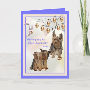 Yorkshire Terrier Eggs -Traordinary Easter Wishes Holiday Card