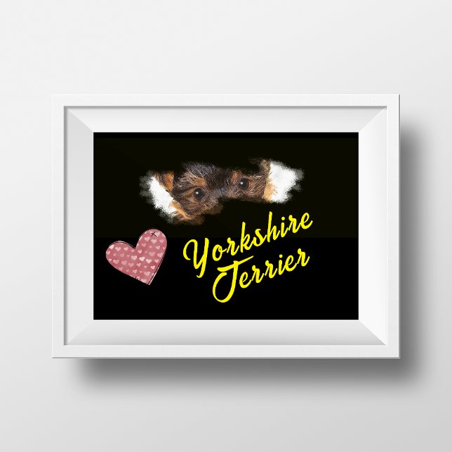 Yorkshire Terrier Eyes Solid Colour Poster (Creator Uploaded)