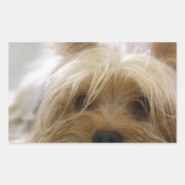 Yorkshire-terrier flat.png sticker (Front)