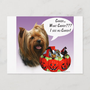 Yorkshire Terrier Halloween Candy Postcard