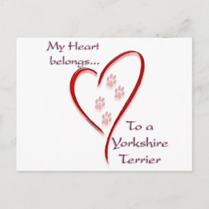 Yorkshire Terrier Heart Belongs Postcard