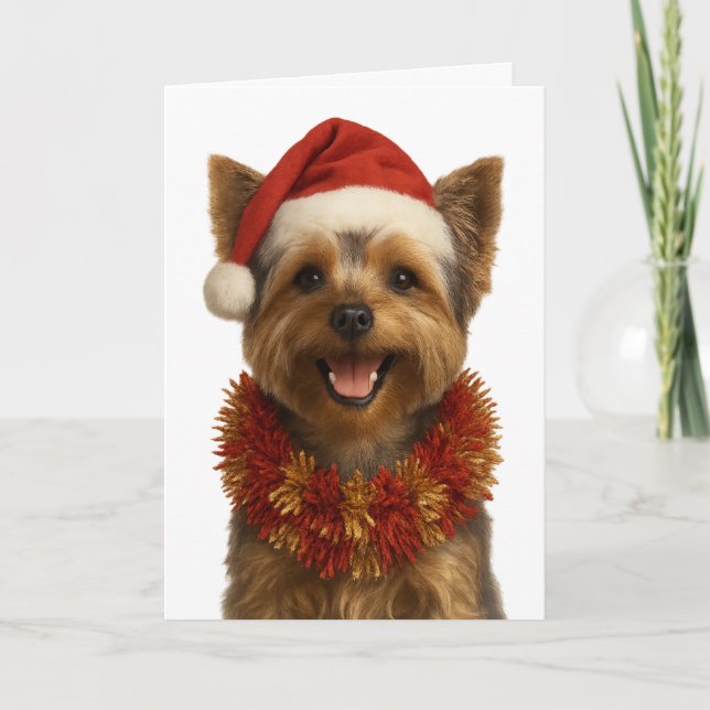 Yorkshire Terrier in a Santa hat Christmas card (Front)