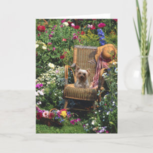 Yorkshire Terrier In The Garden Greeting Card