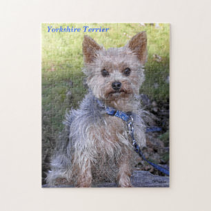 Yorkshire Terrier Jigsaw Puzzle