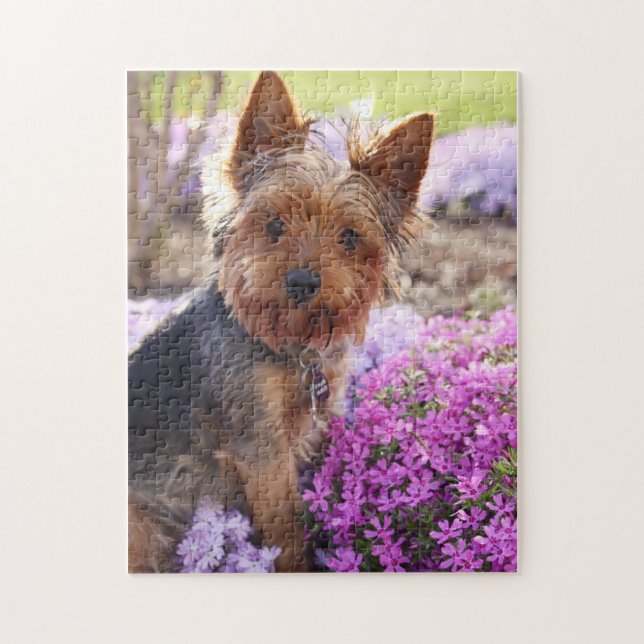 Yorkshire Terrier Jigsaw Puzzle (Vertical)