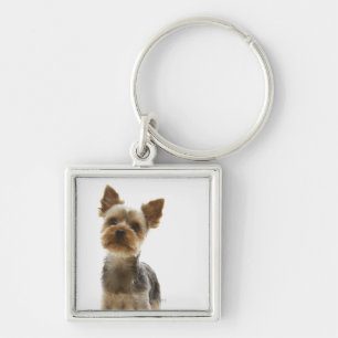 Yorkshire Terrier Keychain