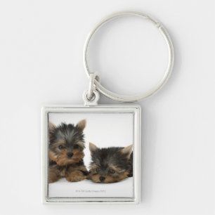 Yorkshire Terrier Keychain