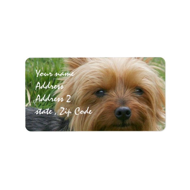 Yorkshire Terrier Label (Front)