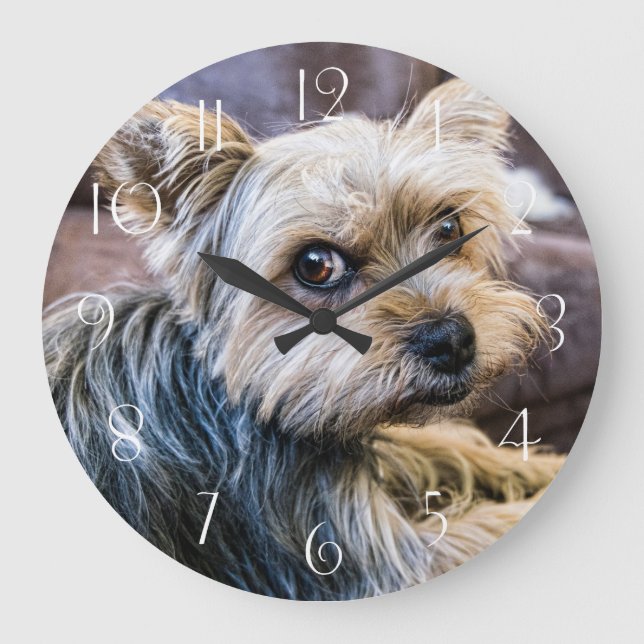 Yorkshire Terrier Large Clock (Front)