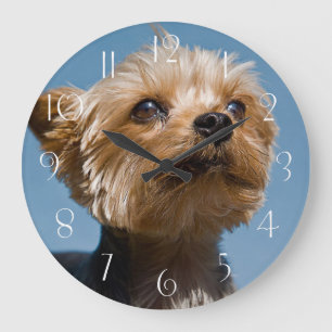 Yorkshire Terrier Large Clock