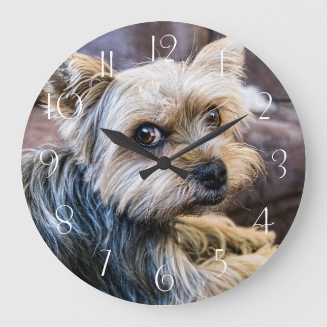 Yorkshire Terrier Large Clock (Front)