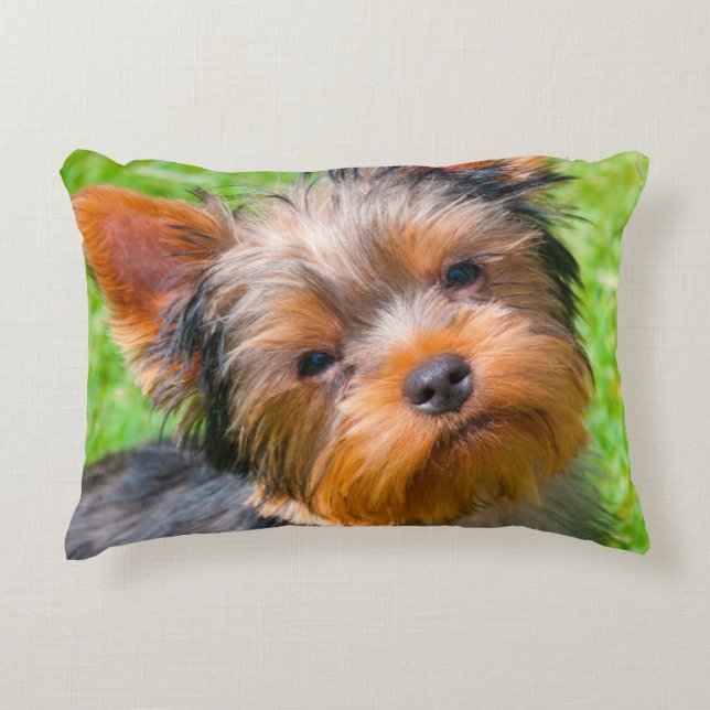 Yorkshire Terrier looking up Decorative Pillow (Front)