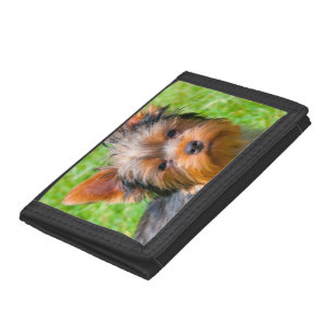 Yorkshire Terrier looking up Tri-fold Wallet