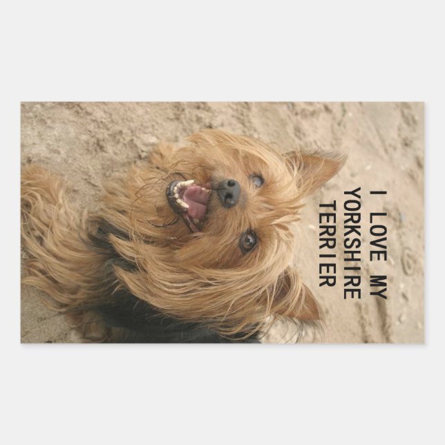 yorkshire terrier love w pic black and tan sticker (Front)