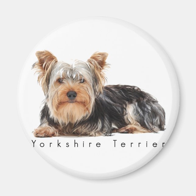 Yorkshire terrier magnet (Front)