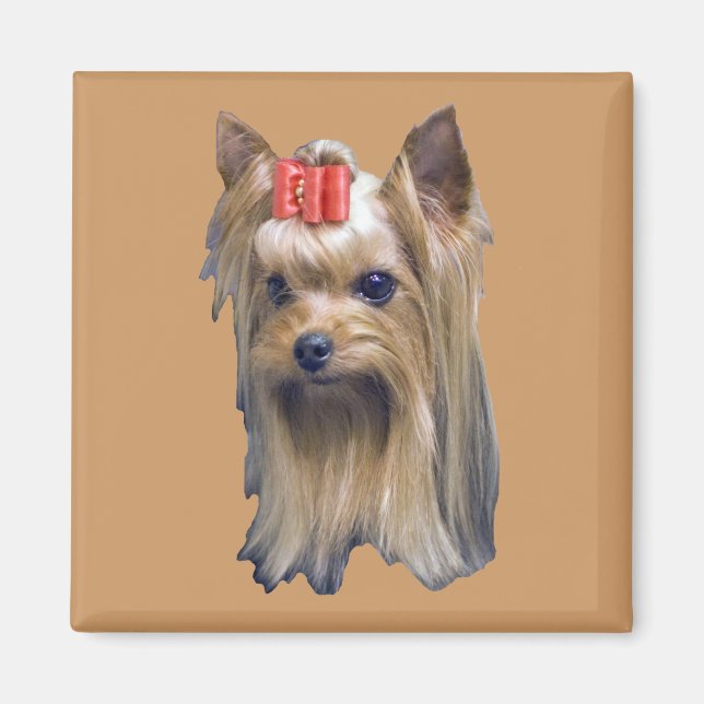 Yorkshire Terrier Magnet (Front)