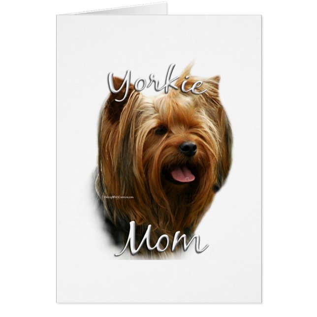 Yorkshire Terrier Maman 2 (Devant)