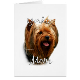 Yorkshire Terrier Mom 2