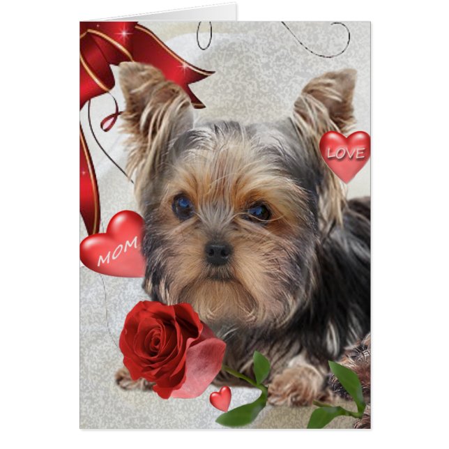 Yorkshire Terrier Mom Cards (Front)
