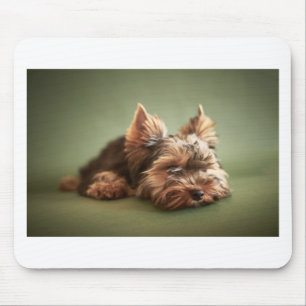 Yorkshire Terrier Mouse Pad