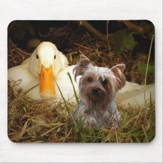 Yorkshire Terrier Mousepad Duck