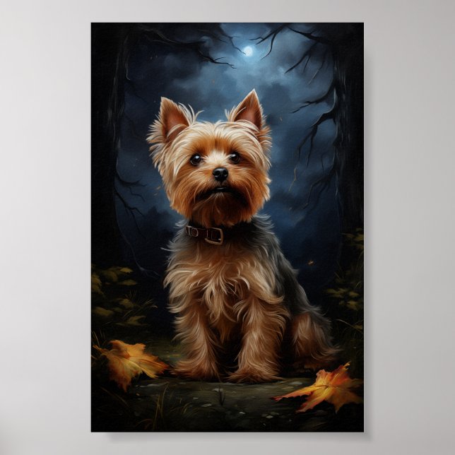 Yorkshire terrier on a moonlit night  poster (Front)
