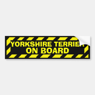 Yorkshire Terrier on board yellow caution sticker