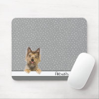 Yorkshire Terrier on Polka Dots