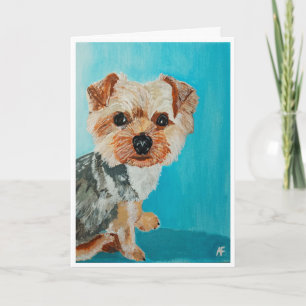 Yorkshire Terrier Painting by Alfred Fox Card