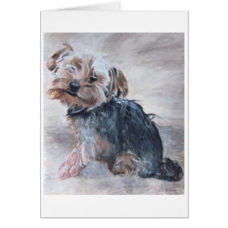 Yorkshire Terrier, Painting, carte