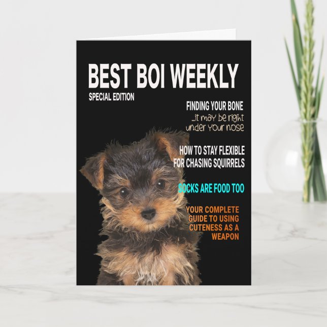 Yorkshire Terrier Parody Magazine Cover Card (Front)