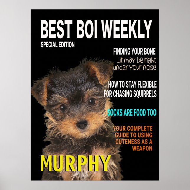 Yorkshire Terrier Parody Magazine Cover Poster (Front)