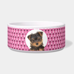 Yorkshire Terrier Personalized Photo & Name Dog