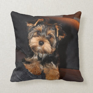 Yorkshire Terrier pillow
