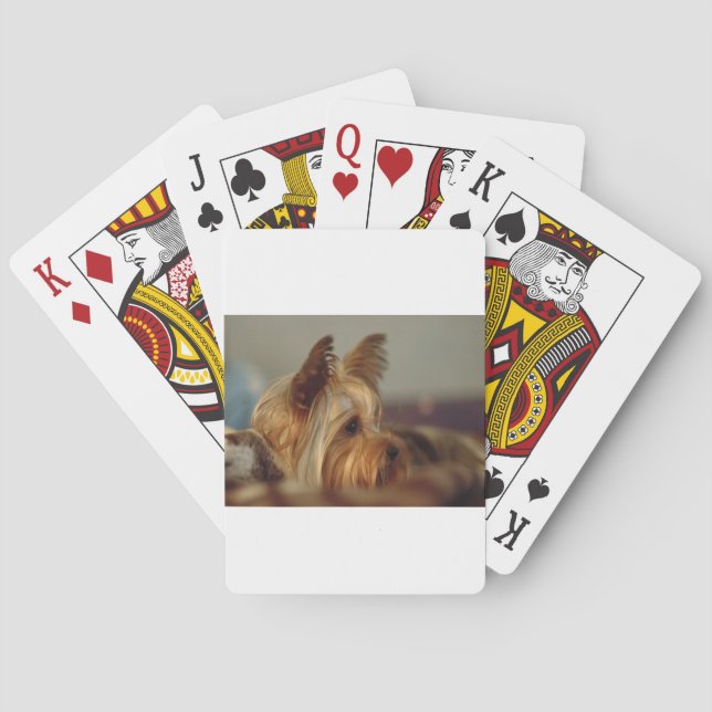Yorkshire Terrier Playing Cards (Back)