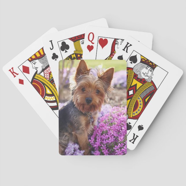 Yorkshire Terrier Playing Cards (Back)
