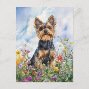 Yorkshire Terrier - Postcard