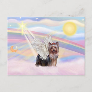 Yorkshire Terrier Postcard