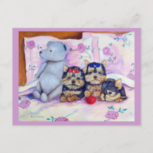 Yorkshire Terrier Postcard