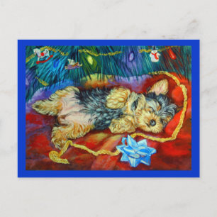 Yorkshire Terrier Postcard