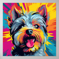 Yorkshire Terrier
