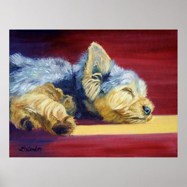 Yorkshire Terrier Poster (Front)