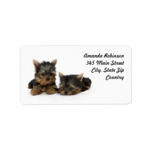Yorkshire Terrier Puppies Address Label