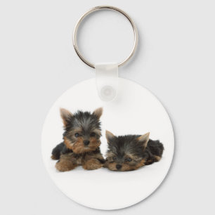 Yorkshire Terrier Puppies Keychain