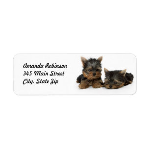 Yorkshire Terrier Puppies Return Address Label