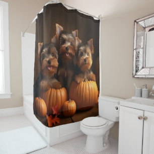 Yorkshire Terrier Puppy Autumn Delight Pumpkin 
