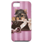 Yorkshire Terrier Puppy